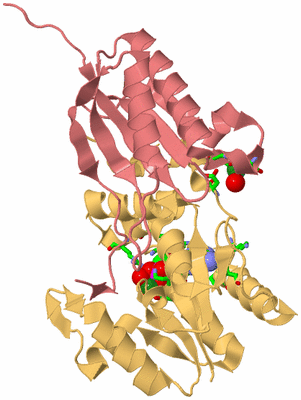 Image Biol. Unit 1 - sites