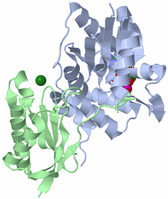 Image Biological Unit 2