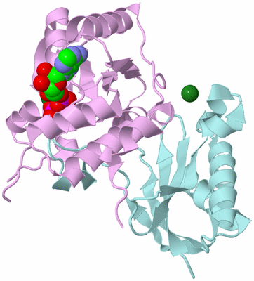 Image Biological Unit 3