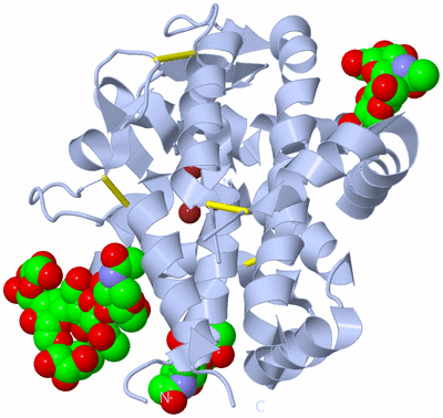 Image Biological Unit 1