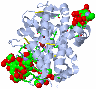 Image Biol. Unit 1 - sites