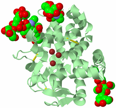 Image Biological Unit 2