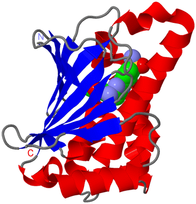 Image Asym./Biol. Unit