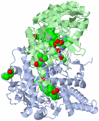 Image Asym./Biol. Unit