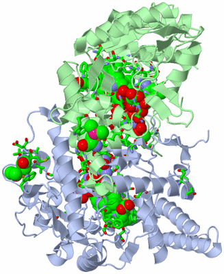 Image Asym./Biol. Unit - sites