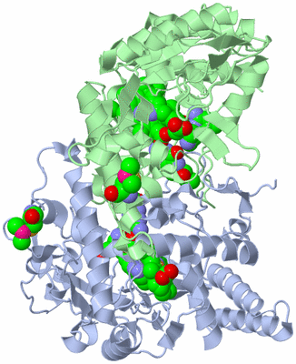 Image Asym./Biol. Unit