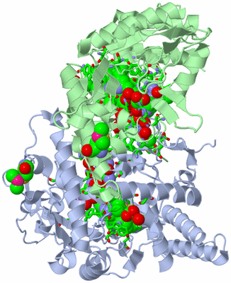 Image Asym./Biol. Unit - sites