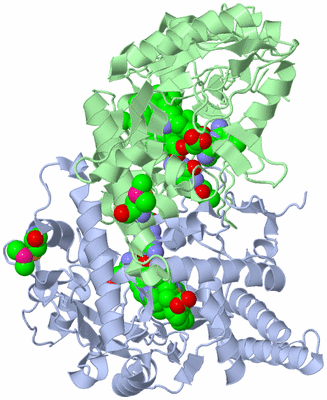 Image Asym./Biol. Unit