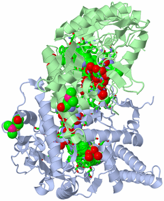 Image Asym./Biol. Unit - sites