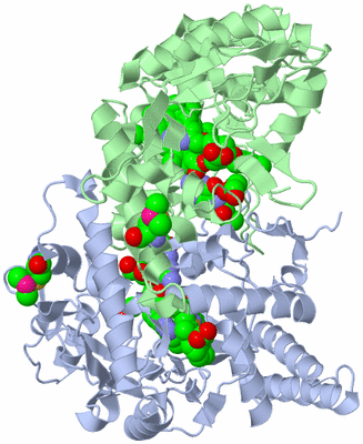 Image Asym./Biol. Unit