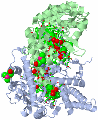 Image Asym./Biol. Unit - sites