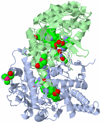 Image Asym./Biol. Unit