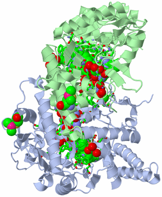 Image Asym./Biol. Unit - sites