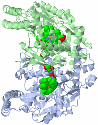 Image Asym./Biol. Unit