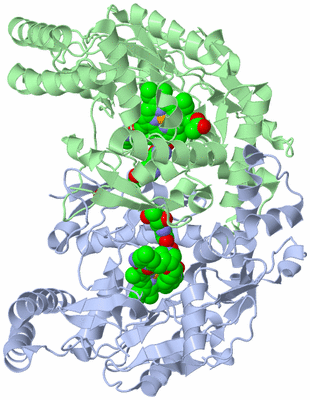 Image Asym./Biol. Unit