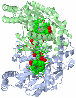 Image Asym./Biol. Unit - sites