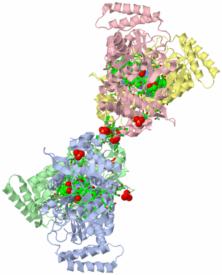 Image Asym./Biol. Unit - sites