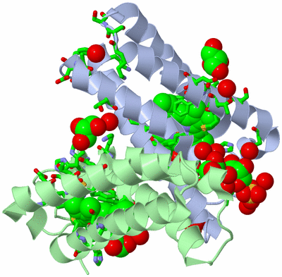 Image Asym./Biol. Unit - sites