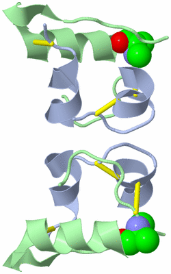 Image Biological Unit 1