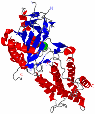 Image Asym./Biol. Unit