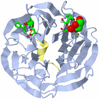 Image Biol. Unit 1 - sites