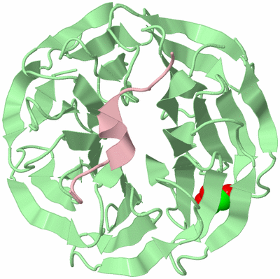 Image Biological Unit 2