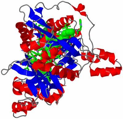 Image Asym./Biol. Unit - sites