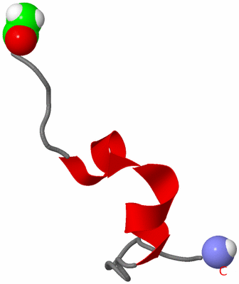 Image NMR Structure - model 1