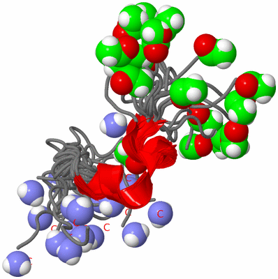 Image NMR Structure - all models