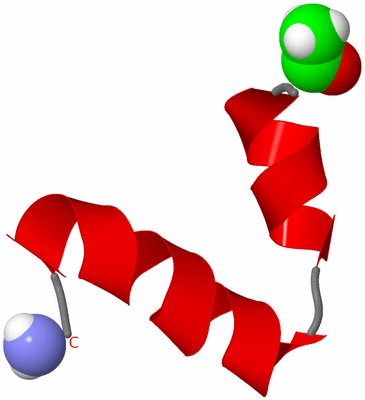 Image NMR Structure - model 1