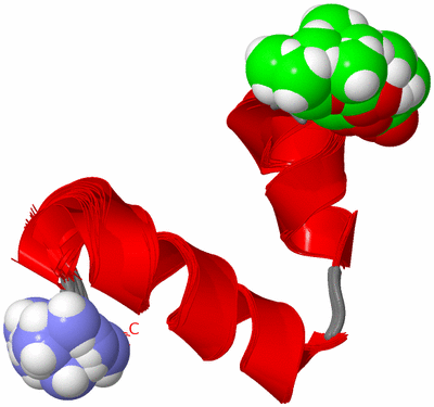 Image NMR Structure - all models