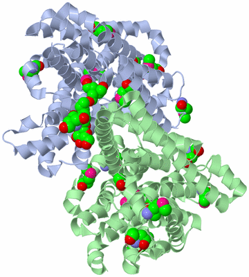 Image Asym./Biol. Unit