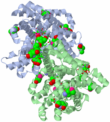 Image Asym./Biol. Unit - sites