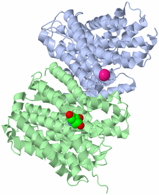 Image Biological Unit 1