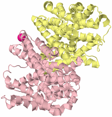 Image Biological Unit 2