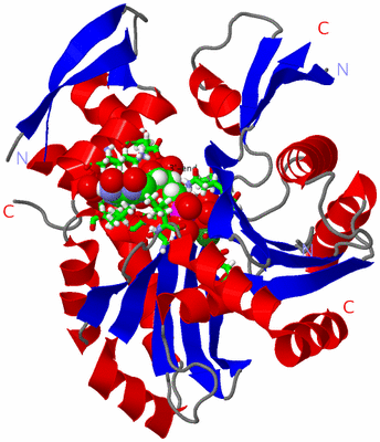 Image Asym./Biol. Unit - sites
