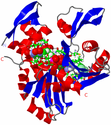 Image Asym./Biol. Unit - sites