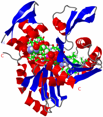 Image Asym./Biol. Unit - sites