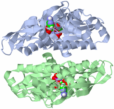 Image Asymmetric Unit