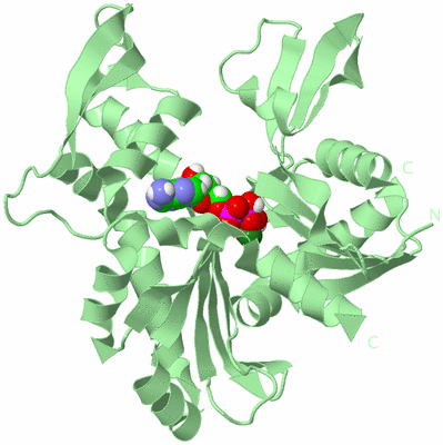 Image Biological Unit 2