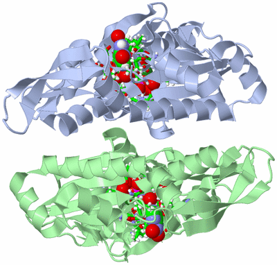Image Asym. Unit - sites