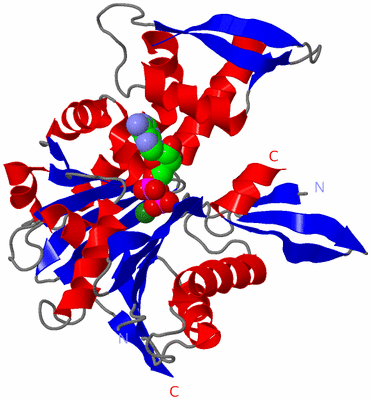 Image Asym./Biol. Unit