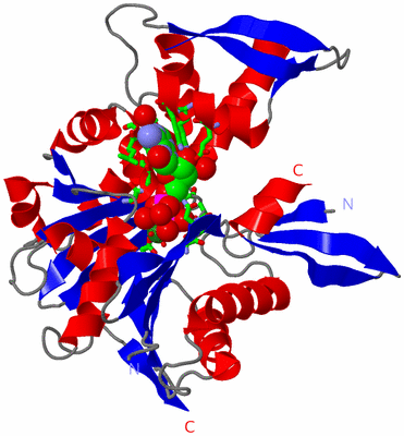 Image Asym./Biol. Unit - sites