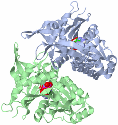 Image Asymmetric Unit