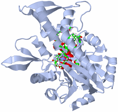 Image Biol. Unit 1 - sites