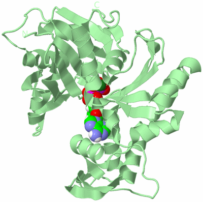 Image Biological Unit 2