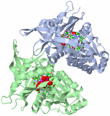 Image Asym. Unit - sites