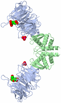 Image Biological Unit 1