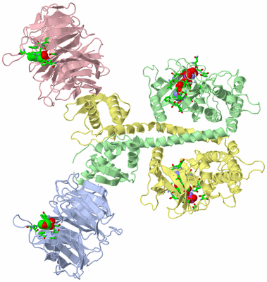 Image Asym./Biol. Unit - sites