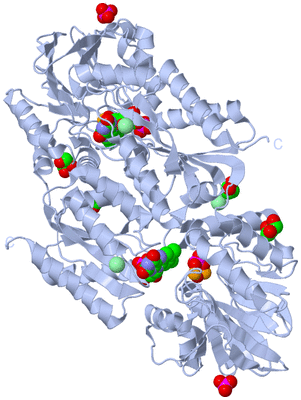 Image Biological Unit 1